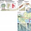 Illegal Timber Trading from Burma