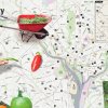 community Gardens