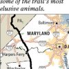Appalachian Trail