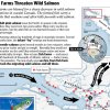 Fish Farms Threaten Wild Salmon