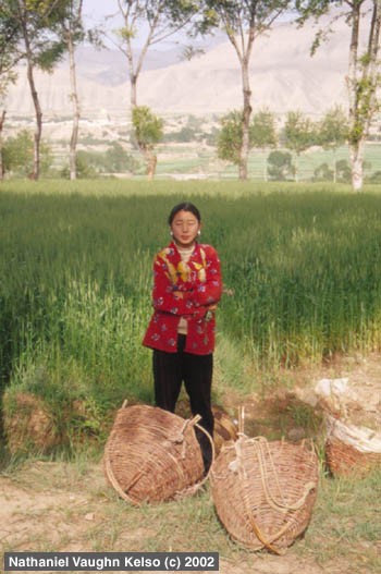 Field Work