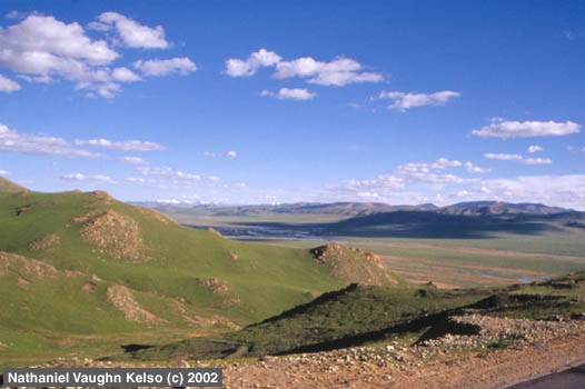 The Northern Plains