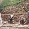 Repairing Paving Stones