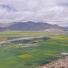 Gyantse Valley