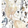National Geographic â€“ Supplements