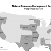 Responses By State